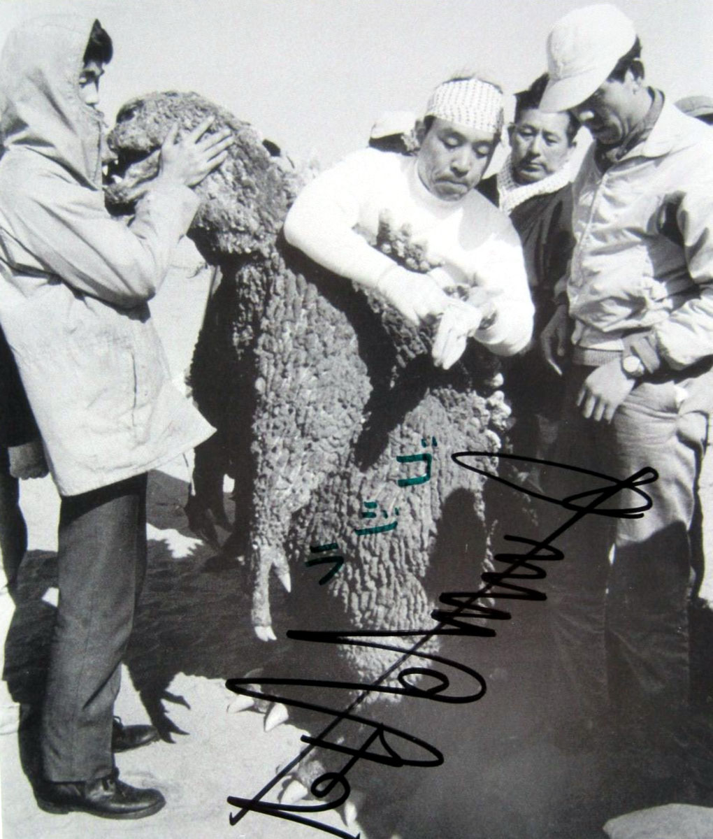 Haruo Nakajima