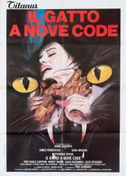 GATTO A NOVE CODE, IL