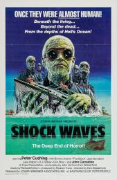 SHOCK WAVES