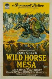 WILD HORSE MESA