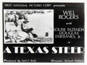 TEXAS STEER, A